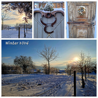 Collage.Winter.2